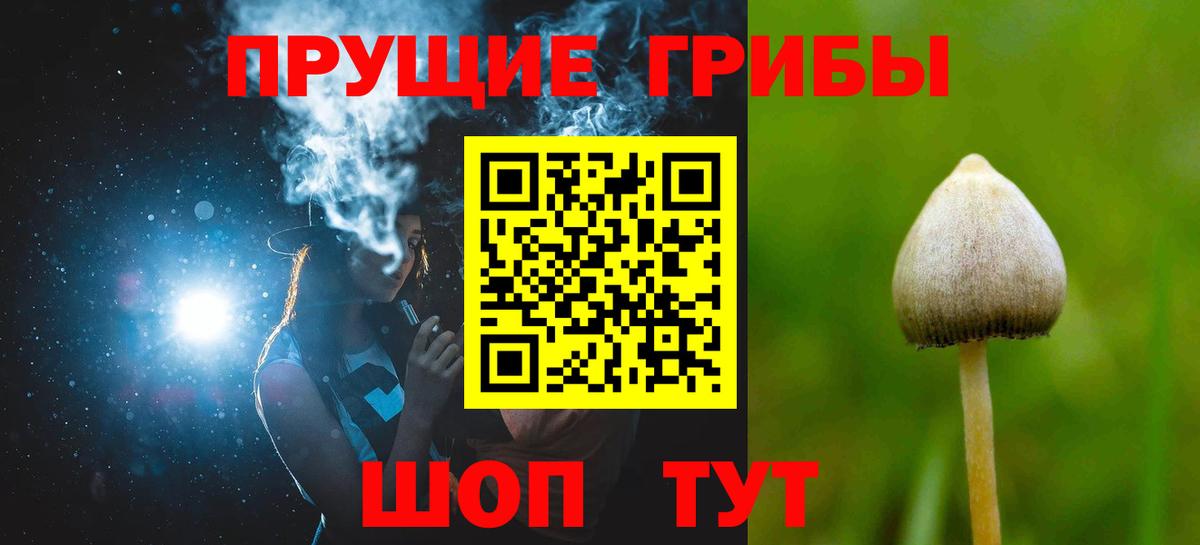 цена   Галлюциногенные грибы GOLDEN TEACHER  Вход с VPN  Арзамас  Псилоцибиновые грибы ЛСД 
